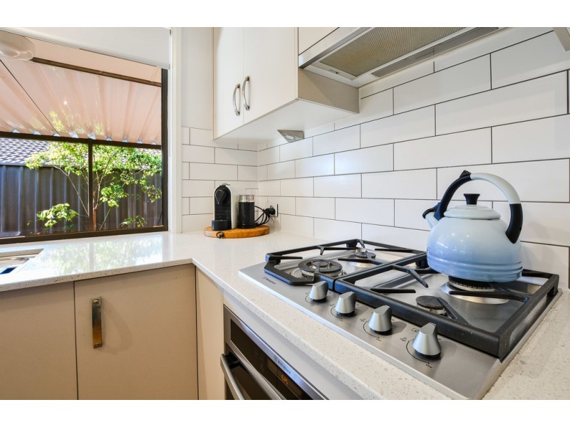 19 Frontignac Court, Wynn Vale SA 5127