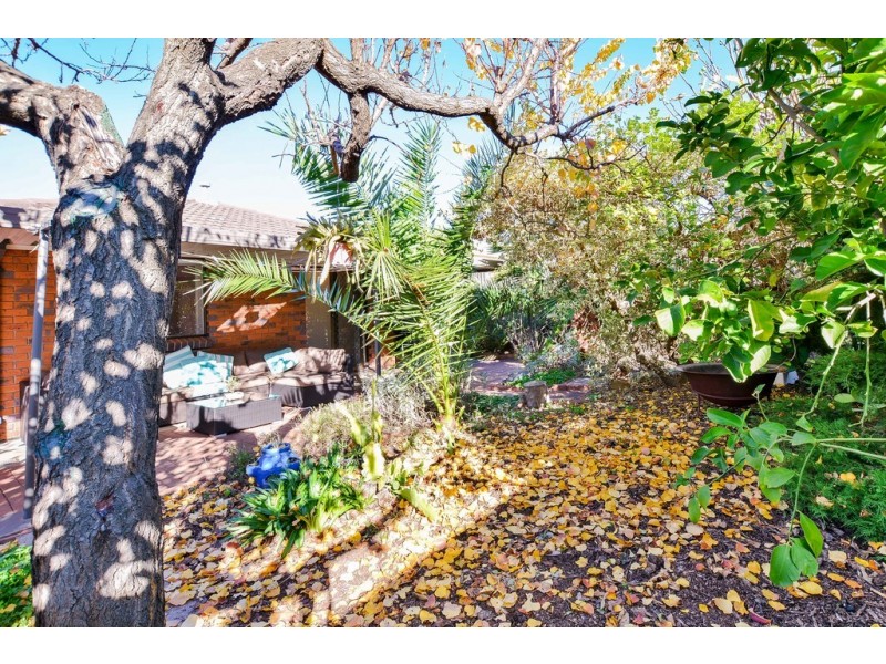 19 Frontignac Court, Wynn Vale SA 5127