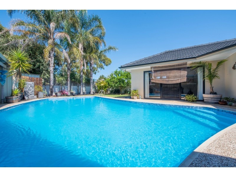 44 Norfolk Road, Marion SA 5043