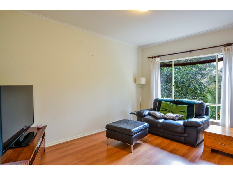 6 Petrel Court, Flagstaff Hill SA 5159