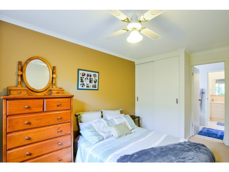 6 Petrel Court, Flagstaff Hill SA 5159