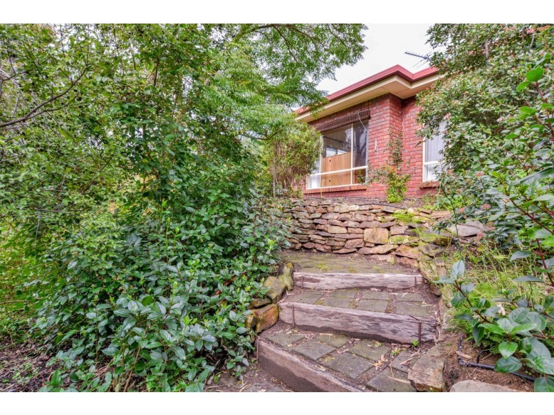 6 Petrel Court, Flagstaff Hill SA 5159