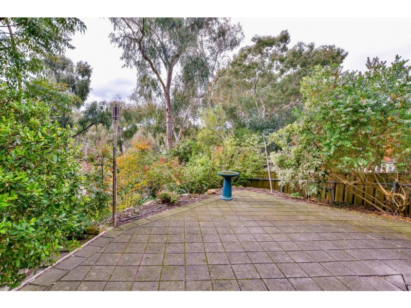 6 Petrel Court, Flagstaff Hill SA 5159