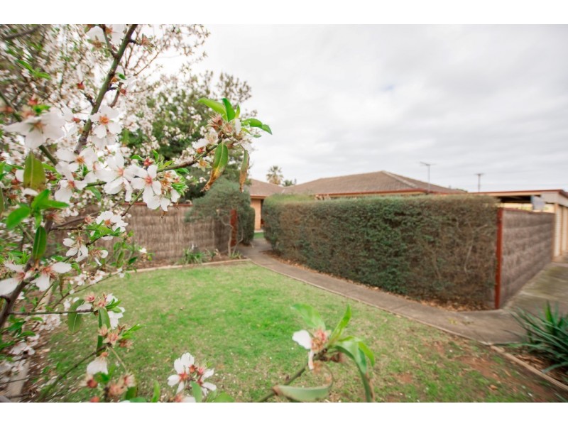 3-65 Byre Avenue, Somerton Park SA 5044