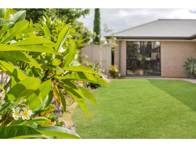 6 Grange Court, Seaford SA 5169