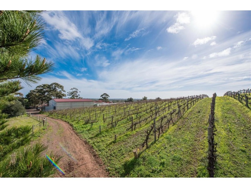 50 Northumberland Road, Onkaparinga Hills SA 5163