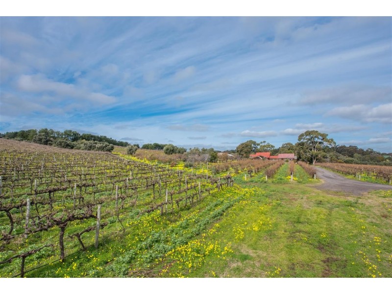 50 Northumberland Road, Onkaparinga Hills SA 5163