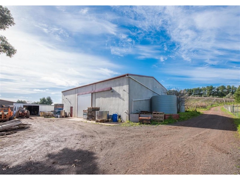 50 Northumberland Road, Onkaparinga Hills SA 5163