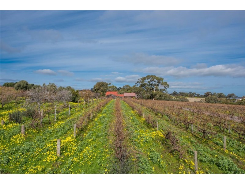 50 Northumberland Road, Onkaparinga Hills SA 5163