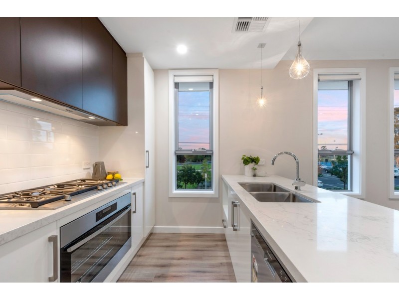 25 Urrbrae Terrace, Plympton SA 5038