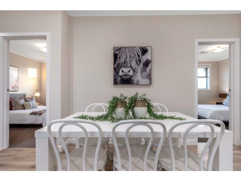 25 Urrbrae Terrace, Plympton SA 5038