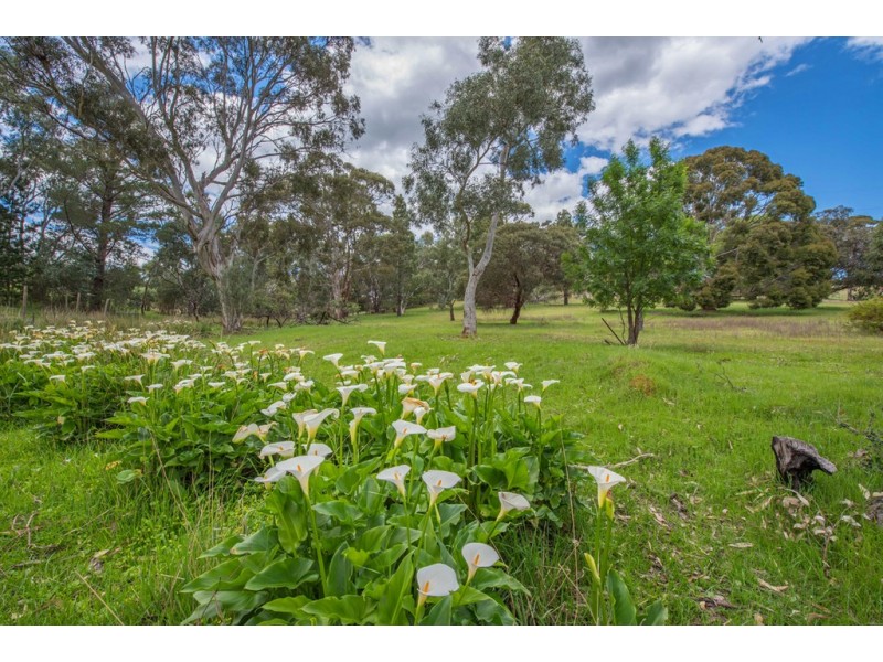 28 Piggott Range Road, Chandlers Hill SA 5159