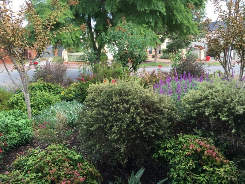 1-8 Edison Street, Glenelg North SA 5045