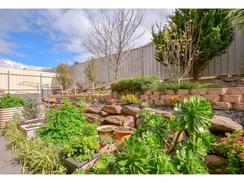 16 Edithburgh Avenue, Seaford Rise SA 5169