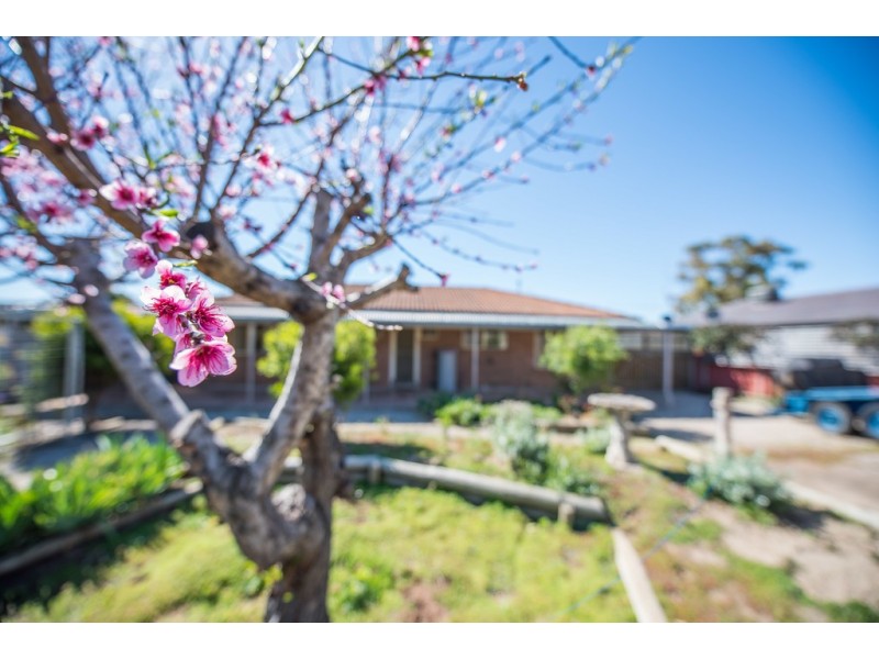 22 Seaview Street, Aldinga Beach SA 5173