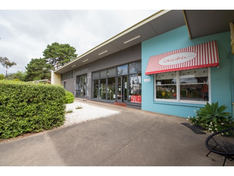 1/3 Moore Street, Willunga SA 5172