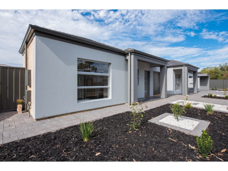 37B Pemberton Street, Oaklands Park SA 5046