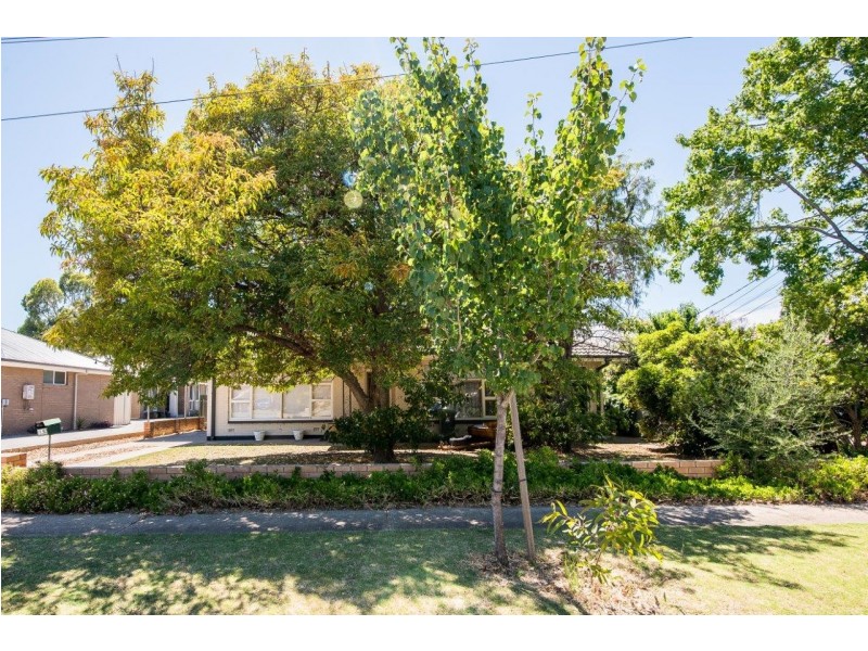 12 Milton Street, Oaklands Park SA 5046