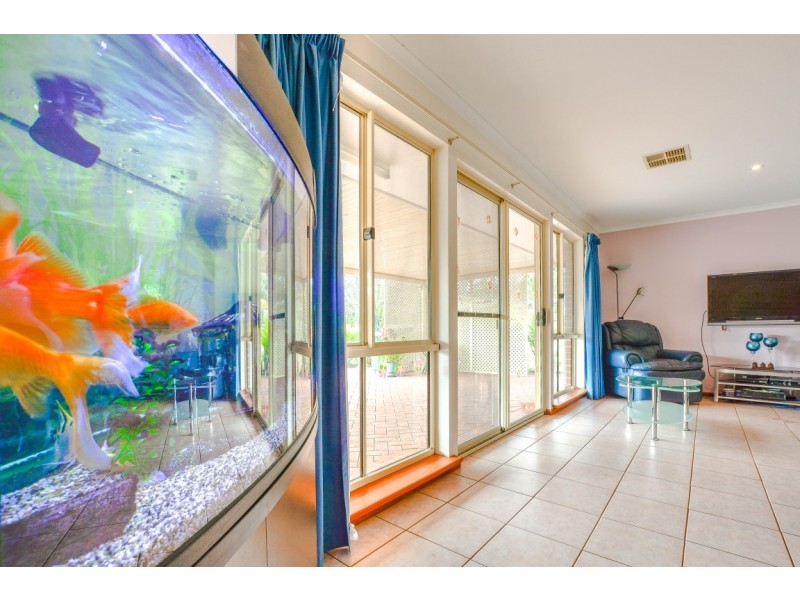 8 Jordan Court, Aberfoyle Park SA 5159