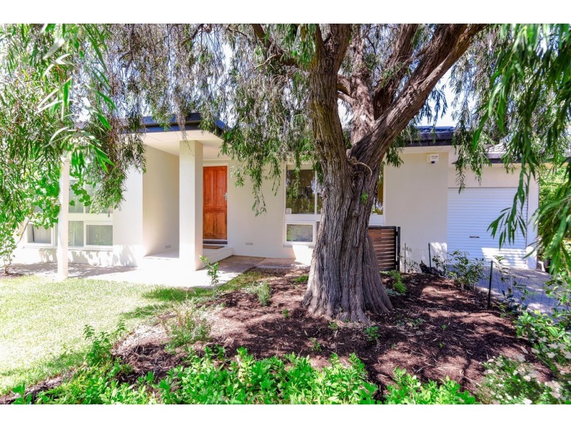 62 Collins parade, Hackham SA 5163