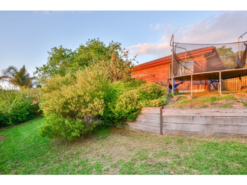 41 Berrima Road, Sheidow Park SA 5158