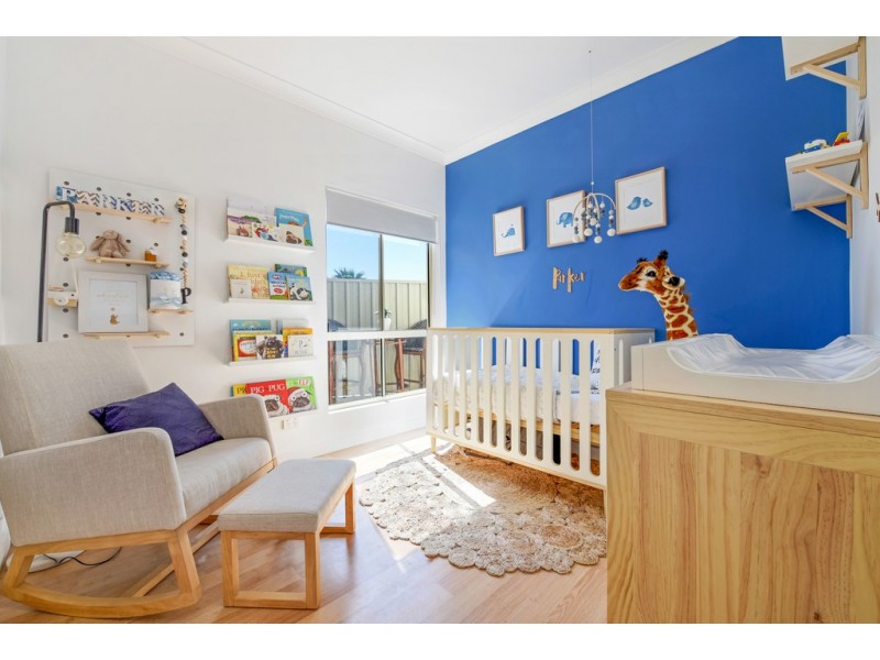 1 Kurrajong Place, Seacombe Gardens SA 5047