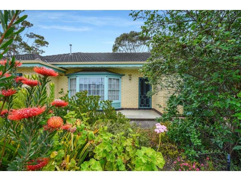 13 Windermere Avenue, Novar Gardens SA 5040
