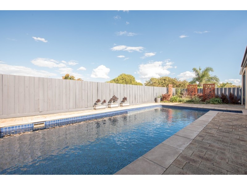 11 Abiona Street, Flagstaff Hill SA 5159