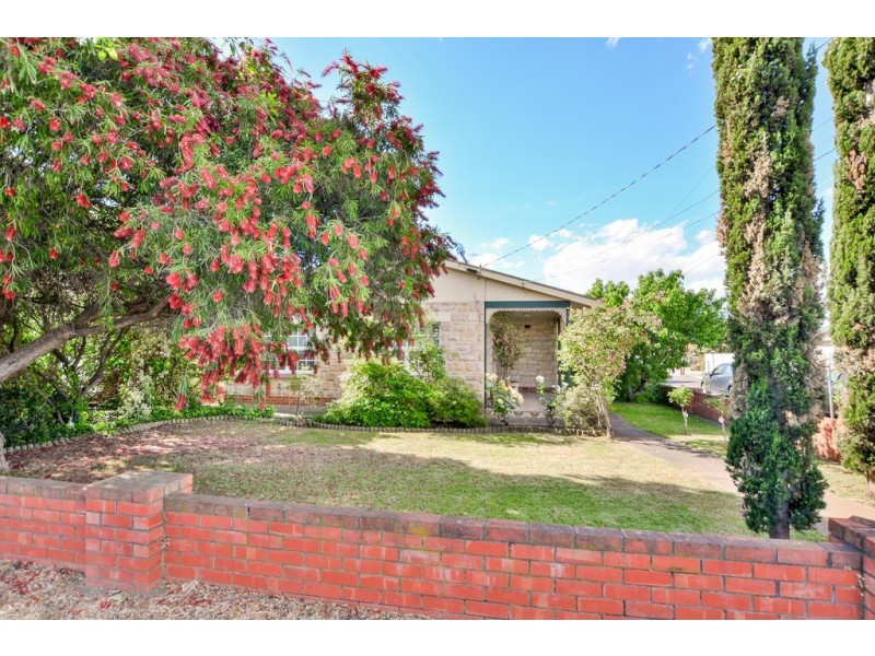 3 Bray Street, Plympton Park SA 5038