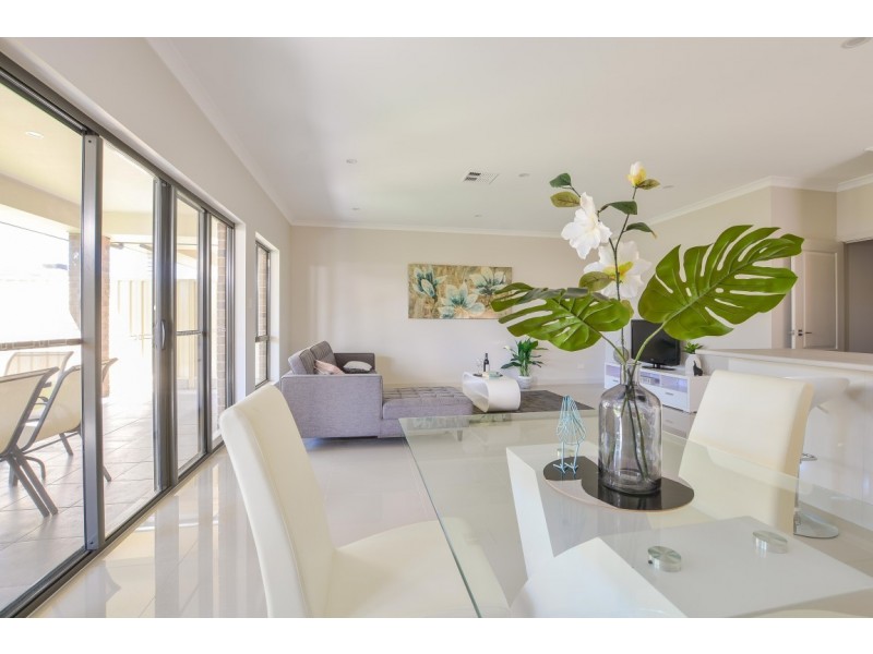 17 Debham Street, Morphett Vale SA 5162