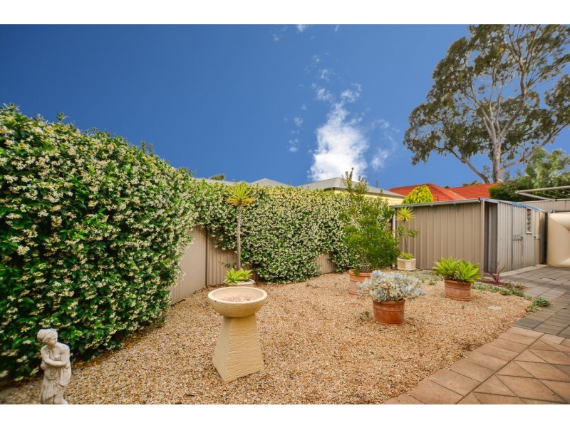 11 Dalkeith Avenue, Dover Gardens SA 5048