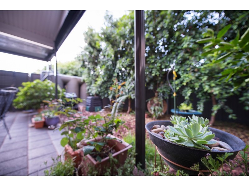 15 Plymouth Avenue, Sturt SA 5047