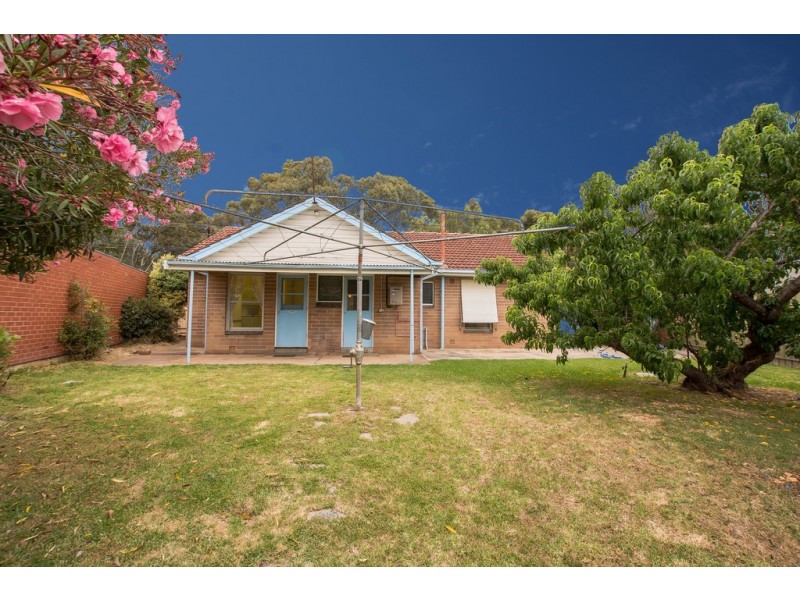 20 Belgrave Avenue, Flinders Park SA 5025