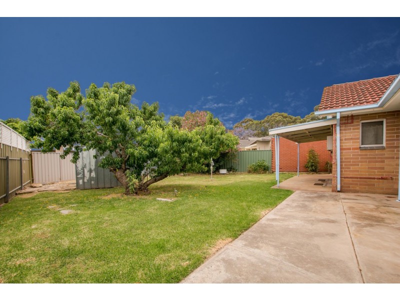 20 Belgrave Avenue, Flinders Park SA 5025