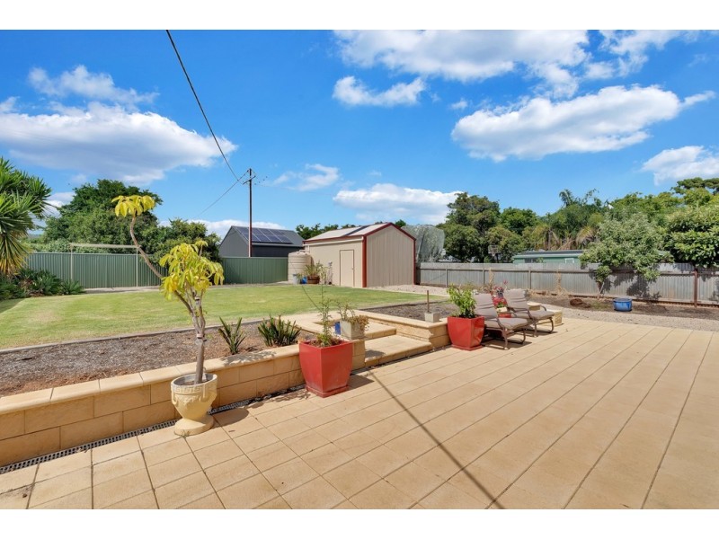99 The Grove, Colonel Light Gardens SA 5041