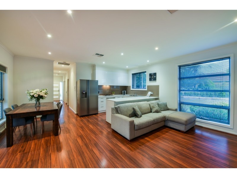 27 Downer Street, Plympton Park SA 5038