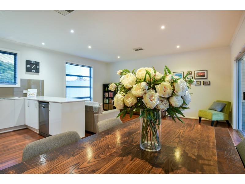 27 Downer Street, Plympton Park SA 5038