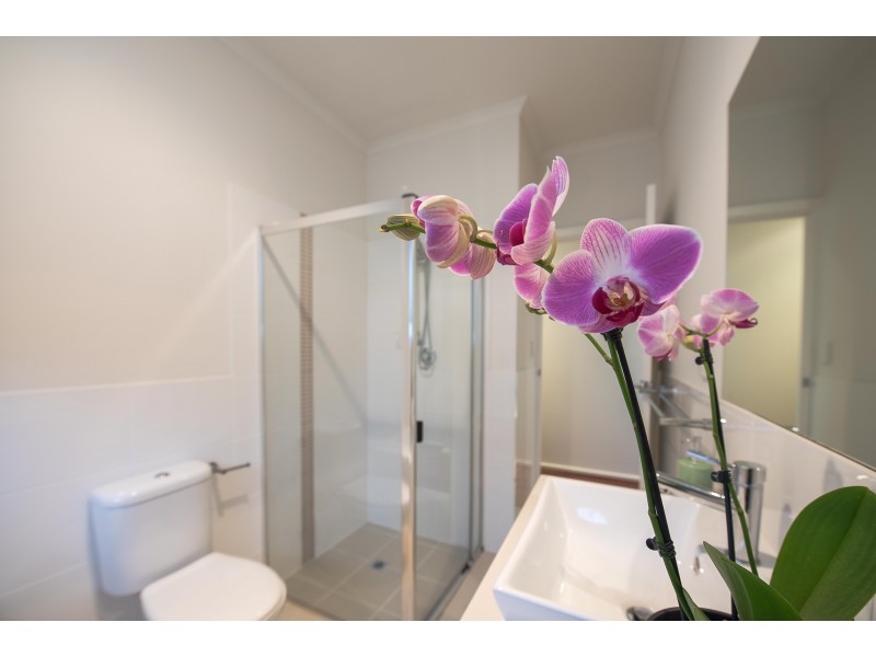 27 Downer Street, Plympton Park SA 5038