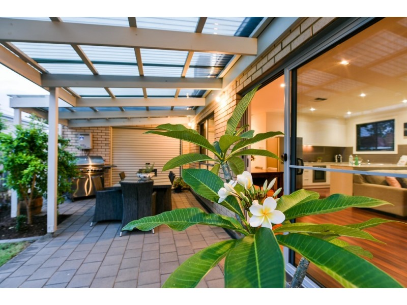 27 Downer Street, Plympton Park SA 5038