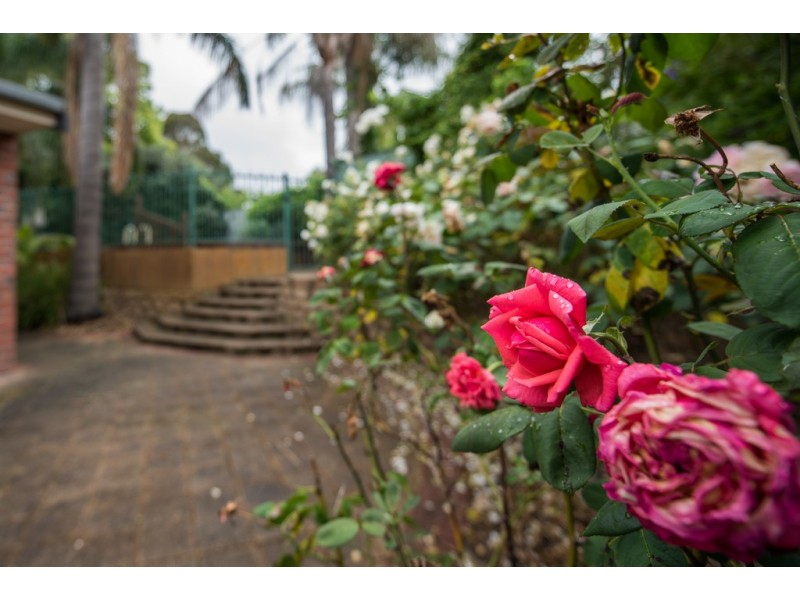 8 Alta Avenue, Happy Valley SA 5159