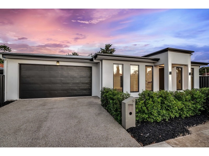 3c Bowaka Street, Park Holme SA 5043