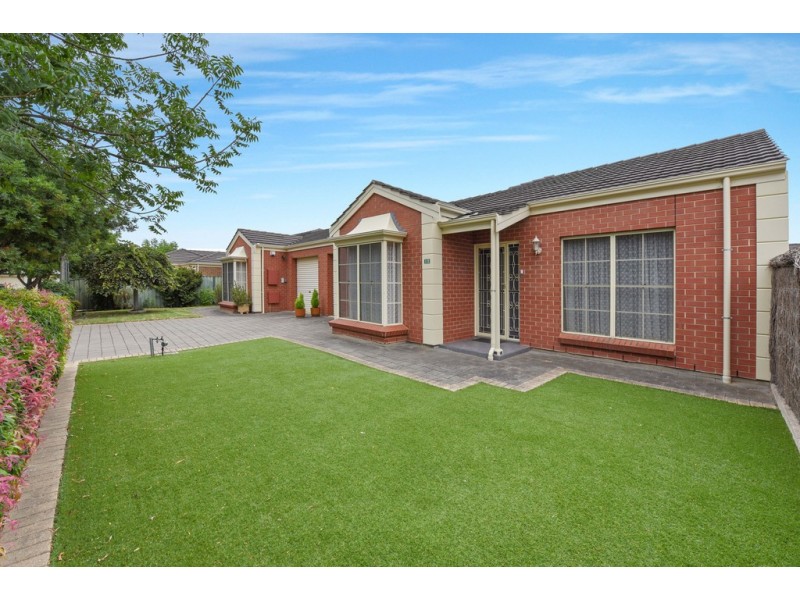 12 Saratoga Avenue, Warradale SA 5046