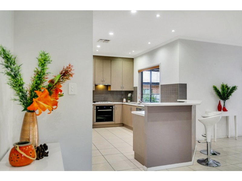 25 Scott Avenue, Clovelly Park SA 5042