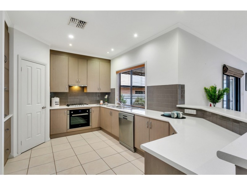 25 Scott Avenue, Clovelly Park SA 5042
