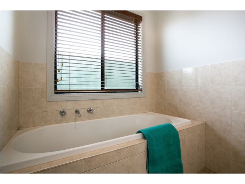 25 Scott Avenue, Clovelly Park SA 5042