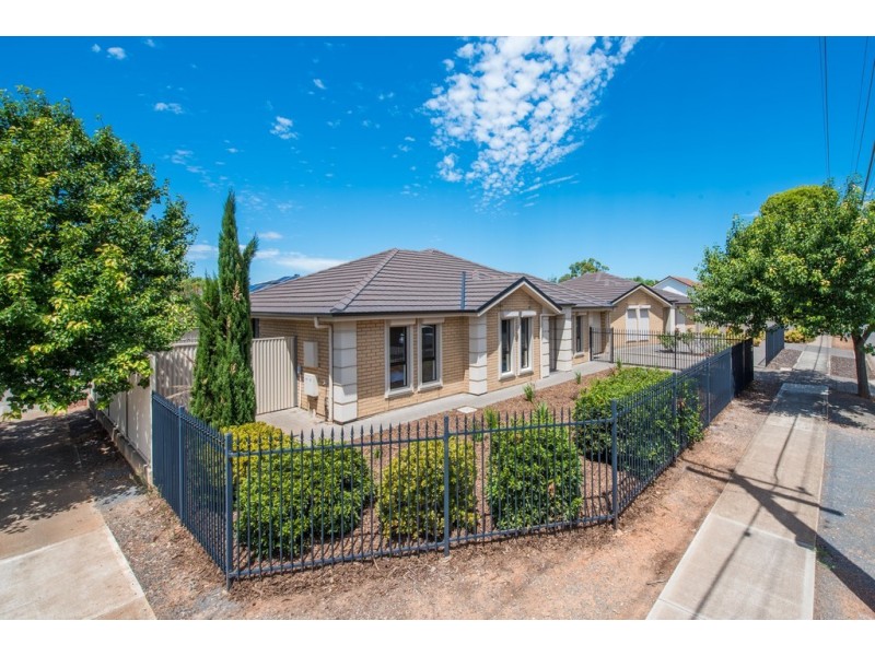 3 Boyle Street, Marion SA 5043