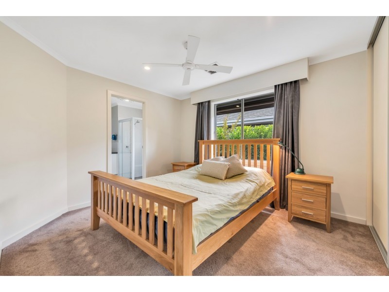 3 Calstock Avenue, Edwardstown SA 5039