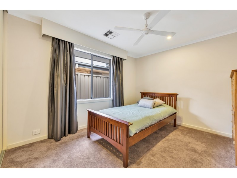 3 Calstock Avenue, Edwardstown SA 5039