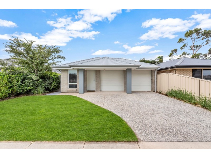 3 Calstock Avenue, Edwardstown SA 5039