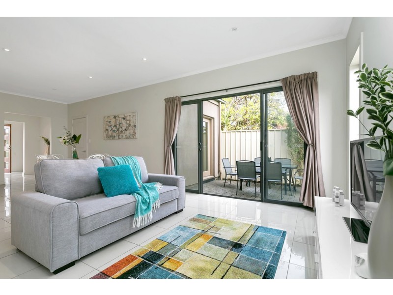 15b Audrey Street, Ascot Park SA 5043